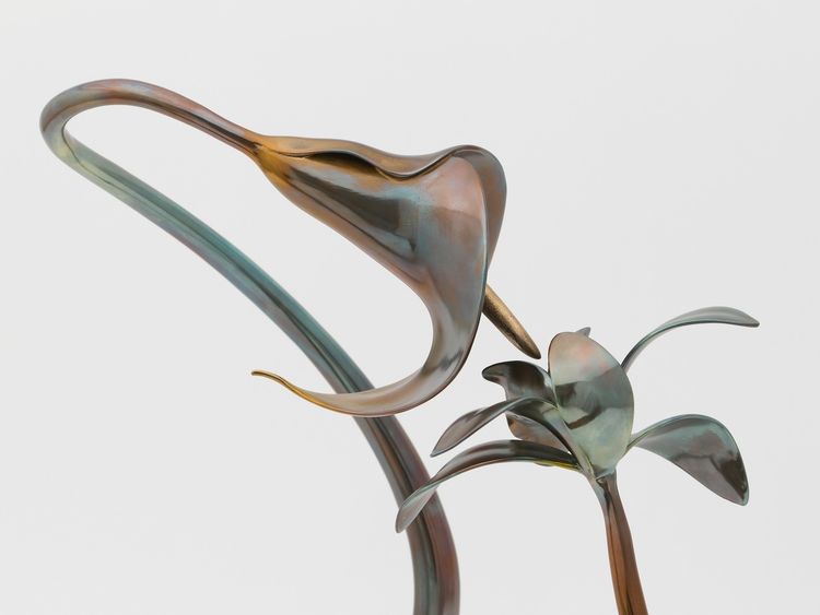Installation view, Alien Spring, Nicodim · 2025 (7)