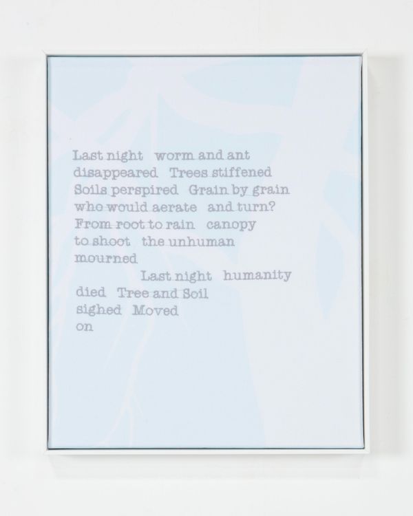 Installation view, From root to rain, Jane Lombard Gallery · 2026 (11)