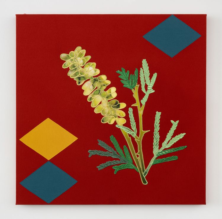 Installation view, From root to rain, Jane Lombard Gallery · 2026 (14)