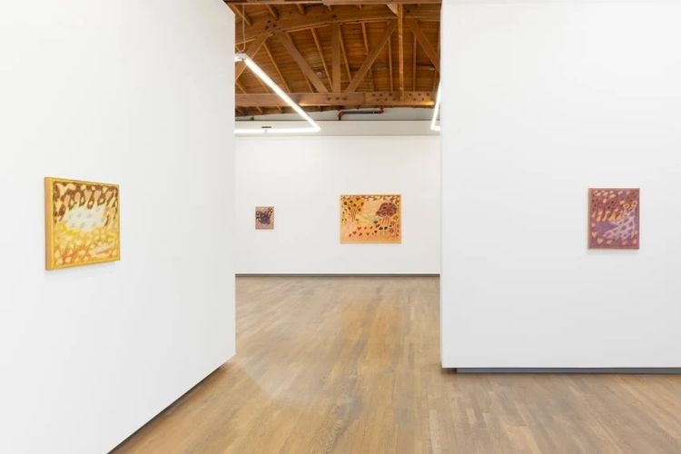 Installation view, Squall Line, Nazarian / Curcio · 2026 (1)