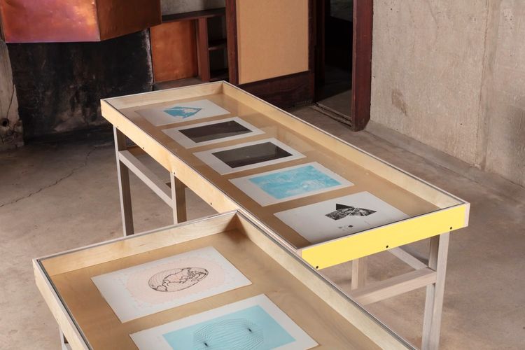 Installation view, The Future is Fragile, MAK Center for Art and Architecture at the Schindler House · 2025 (6)