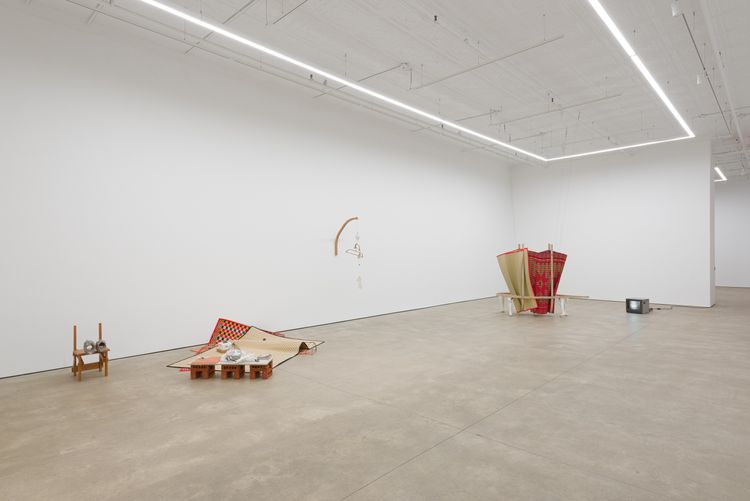 Installation view, Origin of the Tiger, PPOW, 392 Broadway · 2026 (2)