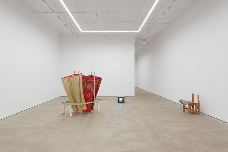 Installation view, Origin of the Tiger, PPOW, 392 Broadway · 2026 (3)
