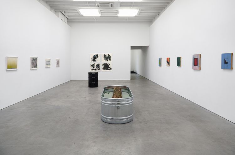 Installation view, I Am Gravity, Karma, 188 East 2nd Street · 2026 (7)