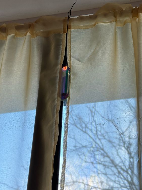 Installation view, Ivy Meadows Sound & Light Healing, Essex Flowers · 2025 (4)