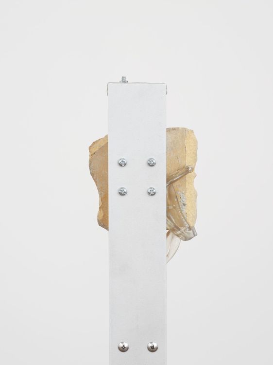 Installation view, Object Prosthetics, Commonwealth and Council · 2026 (12)