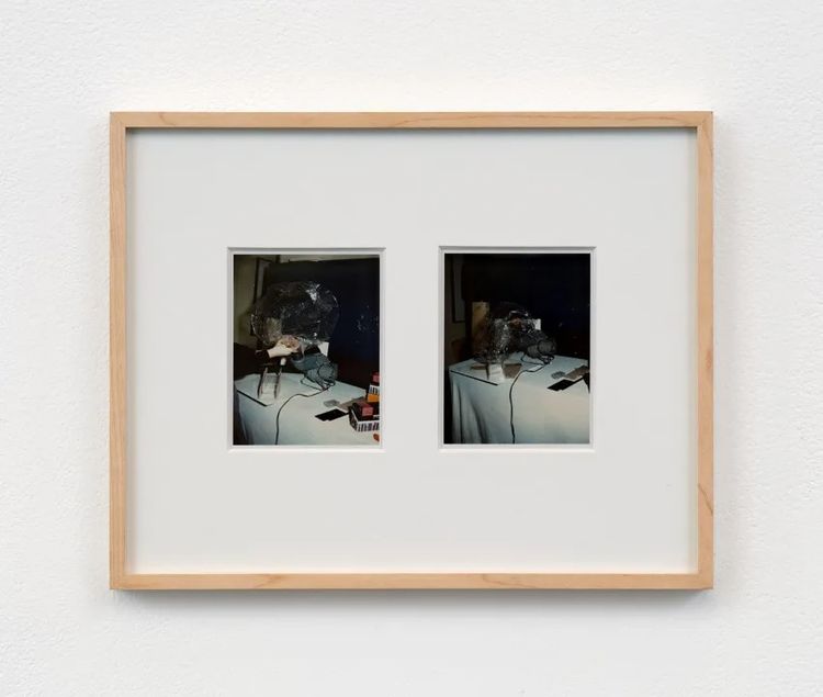 Installation view, Evolving Systems, François Ghebaly · 2025 (16)