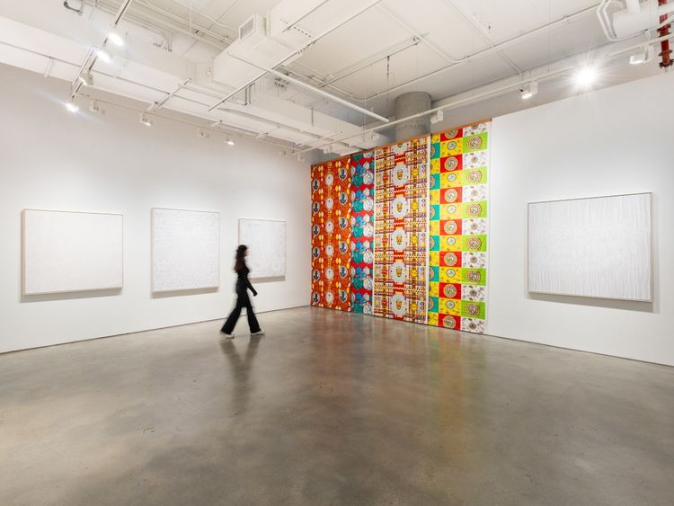Installation view, Carnival, Struggle and Other Brazilian Stories, Nara Roesler · 2025 (14)