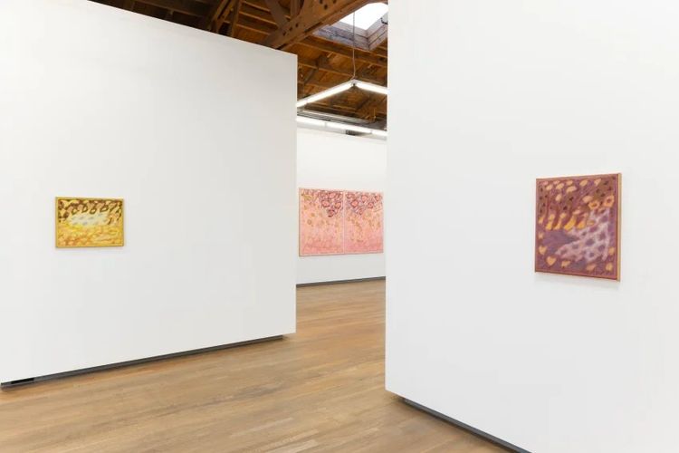 Installation view, Squall Line, Nazarian / Curcio · 2026 (9)