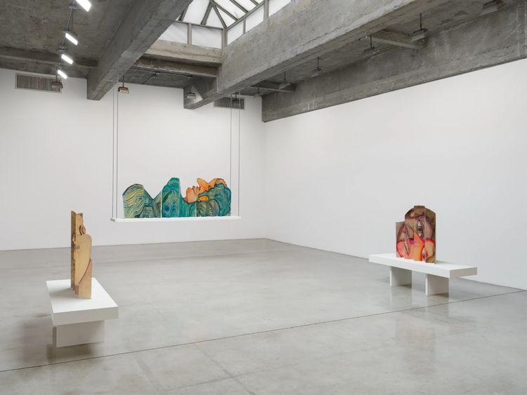 Installation view, Reading the Waves, Tanya Bonakdar Gallery, New York · 2026 (2)