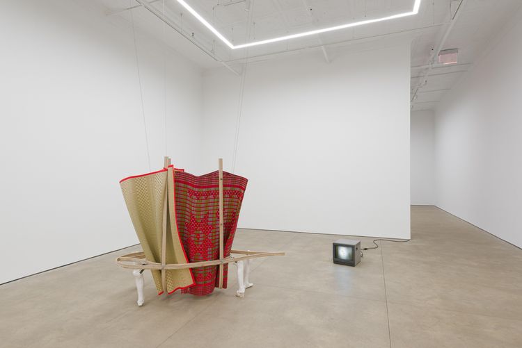 Installation view, Origin of the Tiger, PPOW, 392 Broadway · 2026 (4)