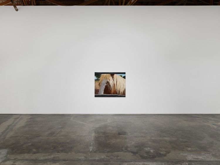 Installation view, Happy Trails, Night Gallery · 2026 (4)