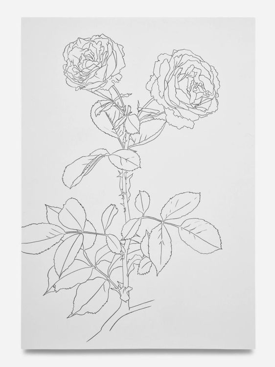 Installation view, Drawings and Paintings, Bortolami, 39 Walker · 2026 (12)