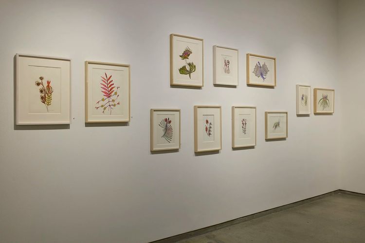 Installation view, Collaging the Visionary, Cavin Morris · 2026 (11)