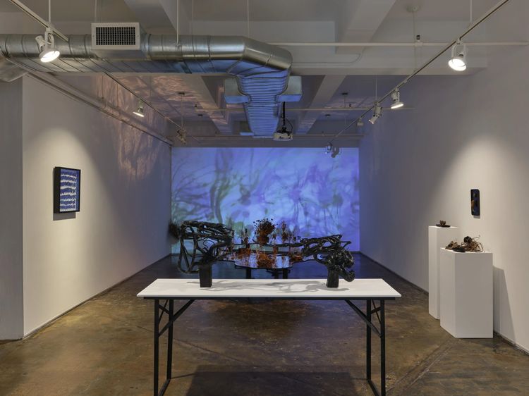 Installation view, The Banshees and Their Fairy Friends in the Shadow Forest, AIR · 2025 (4)
