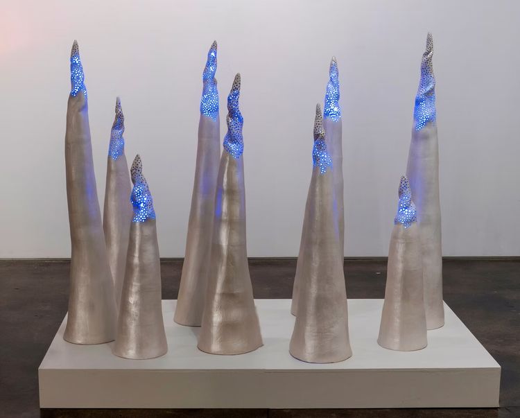 Installation view, Temporal Being: Nature vs. Human, Shatto Gallery · 2026 (8)