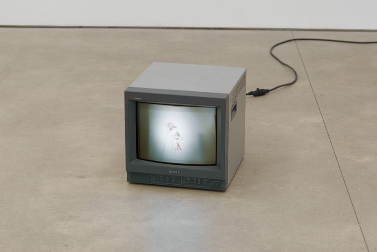 Installation view, Origin of the Tiger, PPOW, 392 Broadway · 2026 (14)