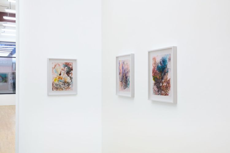 Installation view, Liminal Reveries, Andrew Rafacz Gallery · 2026 (4)