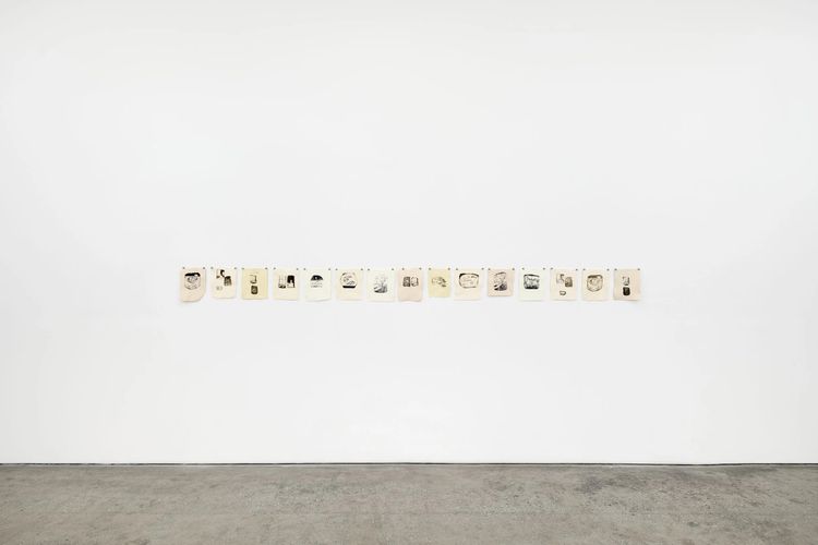 Installation view, Chamber, Megan Mulrooney · 2026 (2)