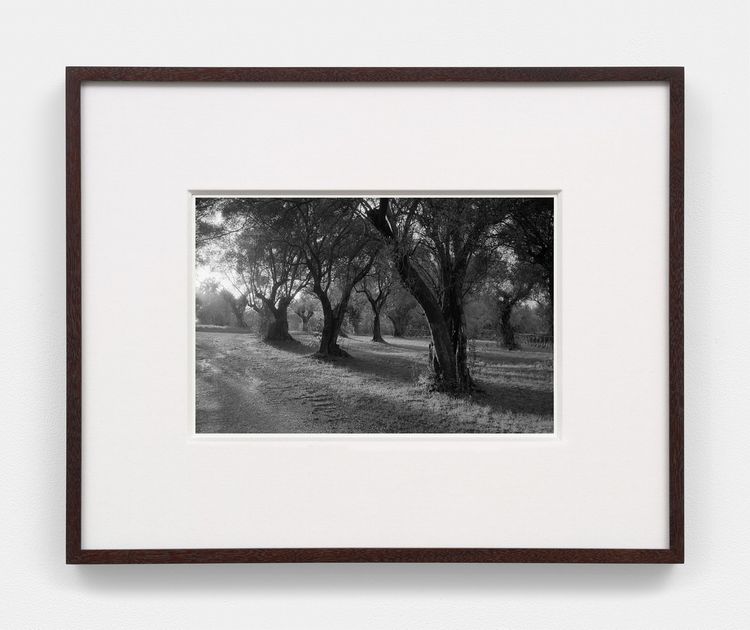 Installation view, Bones in the Canal and Other Photographs, David Kordansky Gallery, Chelsea · 2026 (34)