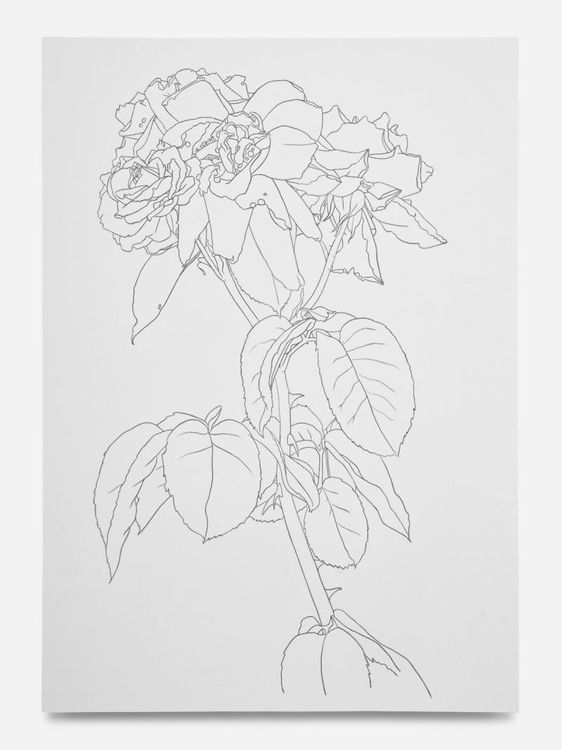 Installation view, Drawings and Paintings, Bortolami, 39 Walker · 2026 (16)