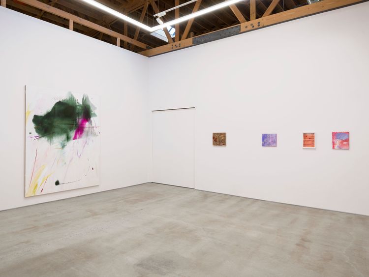 Installation view, Aragonite and conchiolin, Château Shatto · 2026 (6)