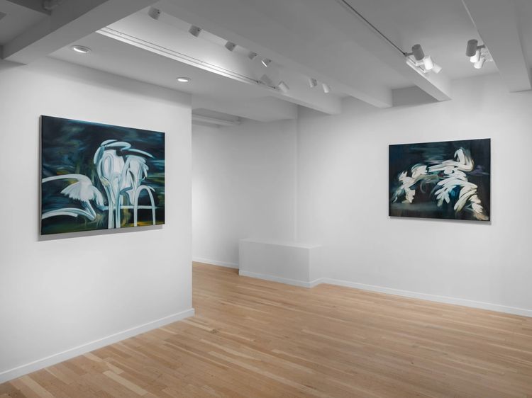 Installation view, Human Metaphor, Room57 Gallery · 2025 (2)