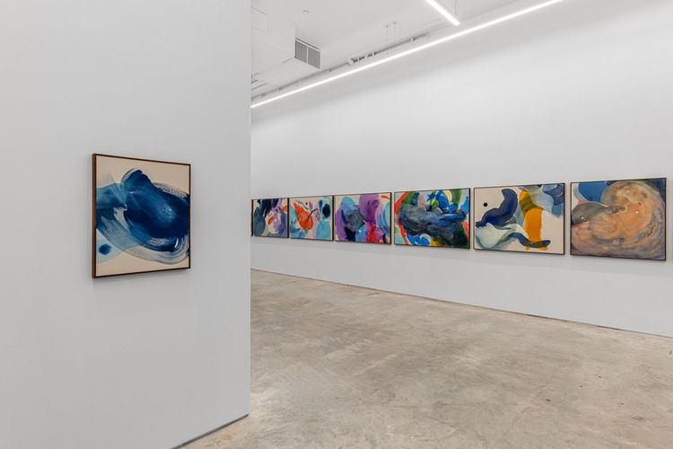 Installation view, Penumbra, Anat Ebgi · 2025 (14)