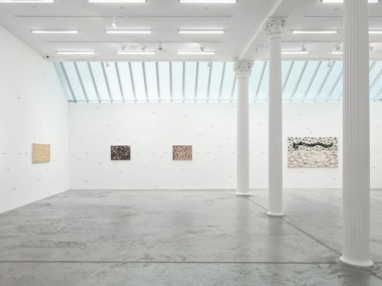 Installation view, When the Sky Merges with the Earth, Bortolami, 39 Walker · 2026 (2)
