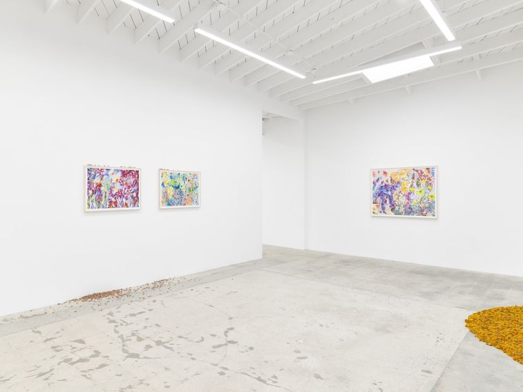 Installation view, I Know Her, Anat Ebgi, Los Angeles · 2025 (2)
