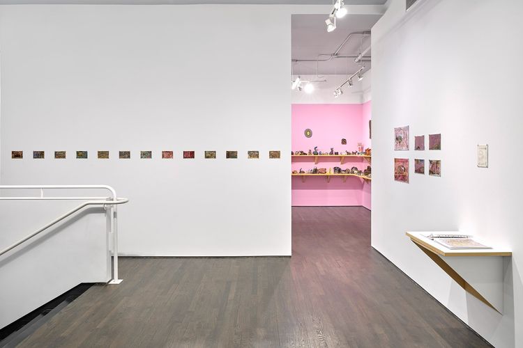 Installation view, Ama Birch, White Columns · 2025 (6)