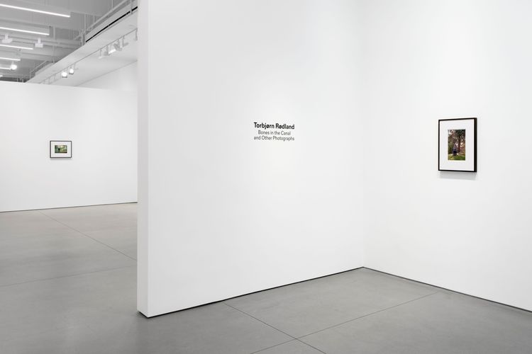 Installation view, Bones in the Canal and Other Photographs, David Kordansky Gallery, Chelsea · 2026 (15)