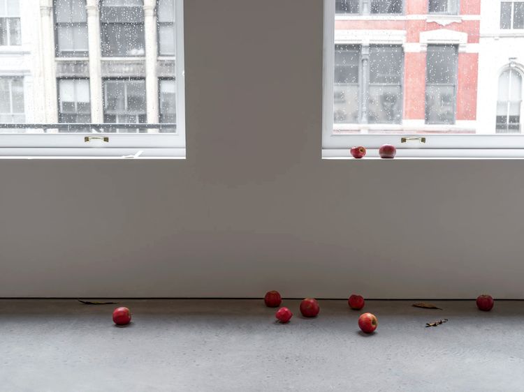 Installation view, Prelude, Marian Goodman, New York · 2025 (4)