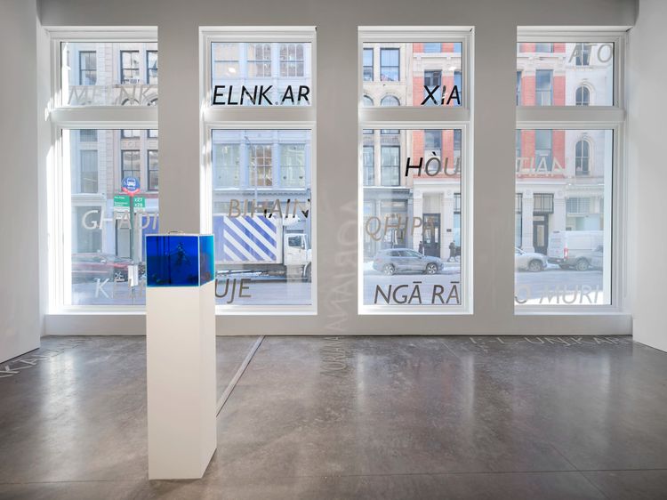 Installation view, Recursion, Marian Goodman, New York · 2026 (1)