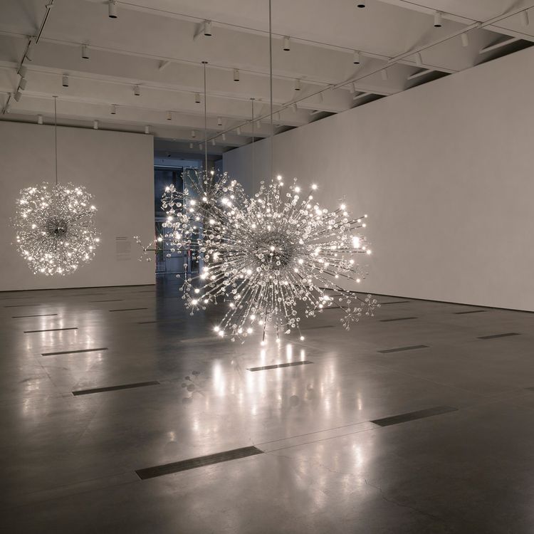 Installation view, Island Universe, LACMA · 2024 (1)