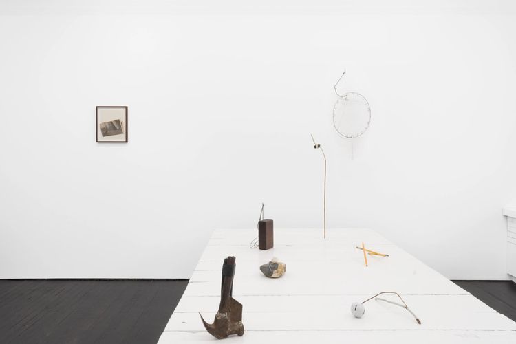 Installation view, DW Fitzpatrick: Daphne, Gordon Robichaux · 2025 (2)
