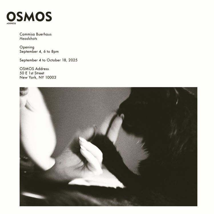 Installation view, Headshots, OSMOS