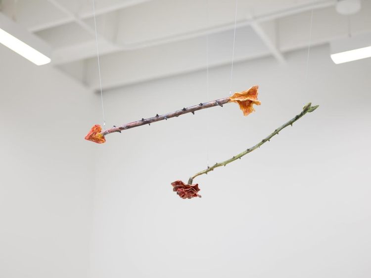 Installation view, Un río abrazando una montaña, Anat Ebgi, Los Angeles · 2026 (5)