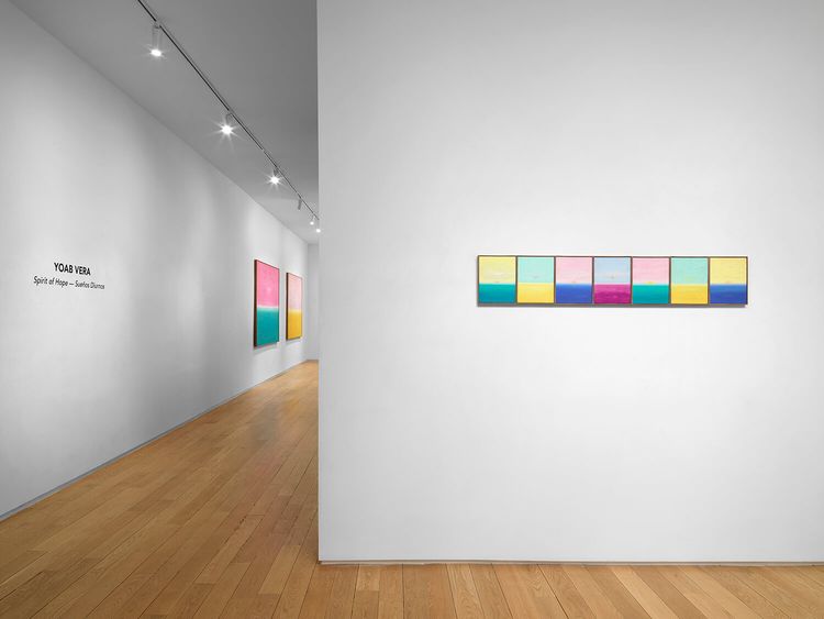 Installation view, Spirit Of Hope — Sueños Diurnos, Alexander Berggruen · 2026 (3)