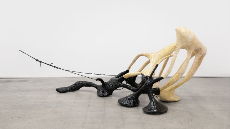 Installation view, Spleen, Morán Morán · 2025 (1)