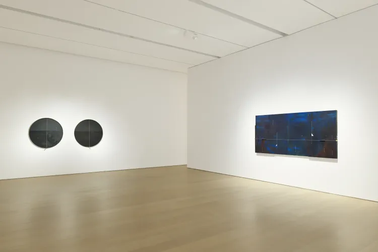 Installation view, Seeing in Blue, PACE · 2026 (2)