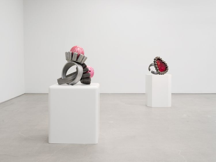Installation view, Souvenir, Karma Gallery · 2025 (3)