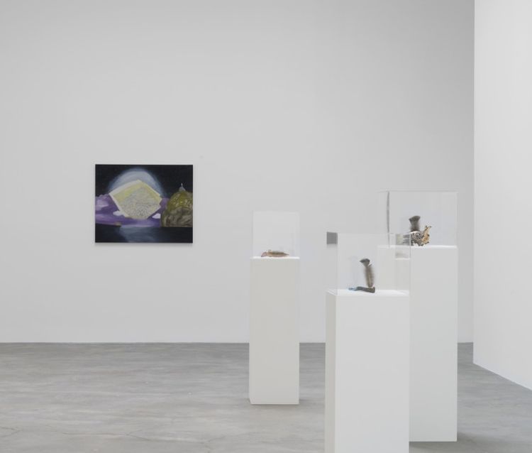 Installation view, Space Remembers, Matthew Marks, 522 W 22nd St · 2026 (2)