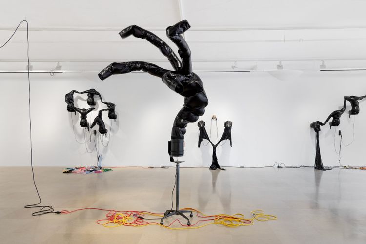 Installation view, Automa Mon Amour, Greene Naftali · 2026 (9)