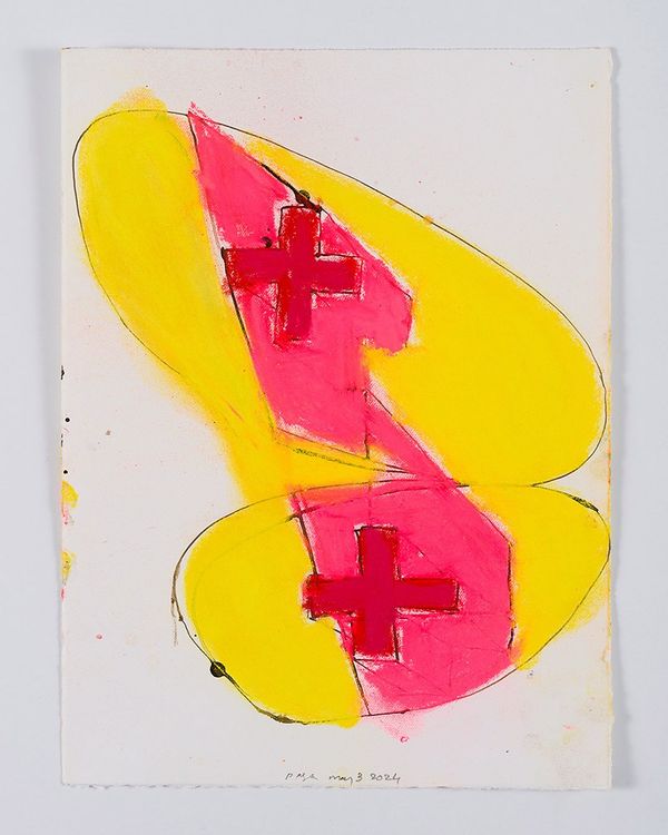 Installation view, Inscriptions in a Shade of Color, Miguel Abreu Gallery