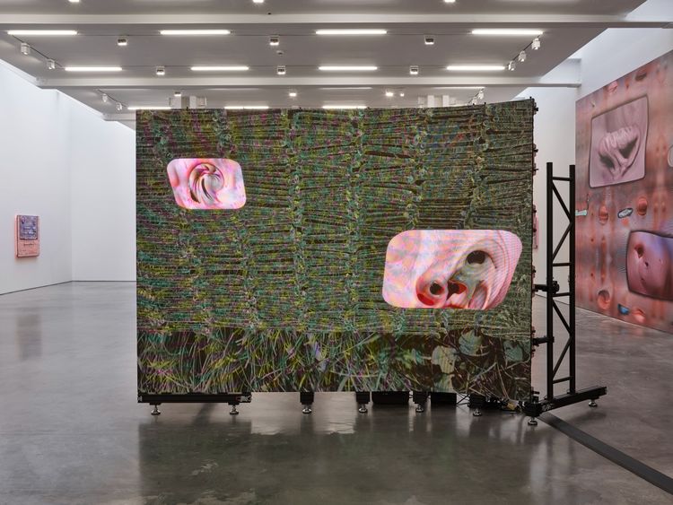 Installation view, emergence, Lisson, 504 W 24th Street · 2025 (10)