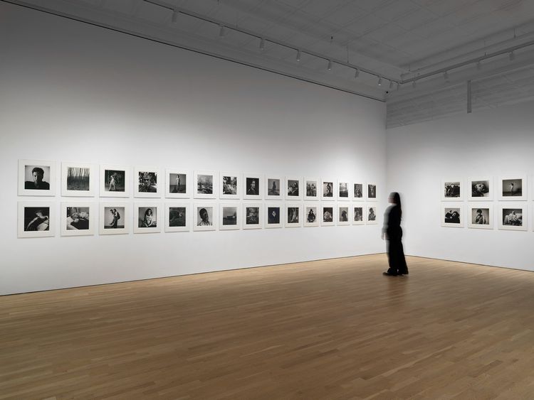 Installation view, The Gracie Mansion Show, Ortuzar · 2026 (2)