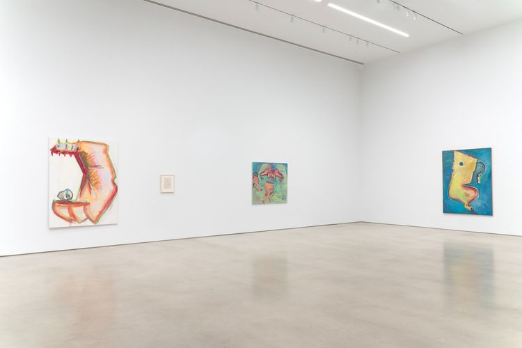 Installation view, Maria Lassnig, Petzel Gallery · 2026 (1)