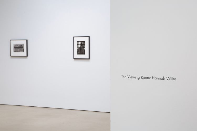 Installation view, The Viewing Room, Petzel Gallery · 2025 (3)