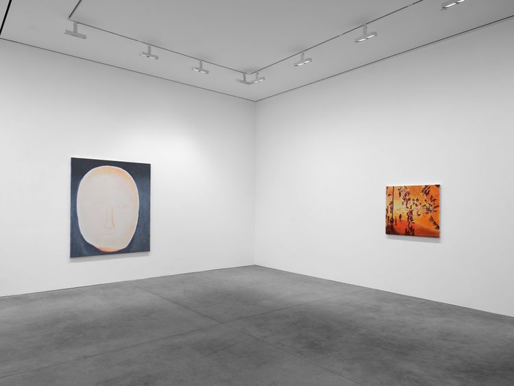 Installation view, The Fruit Basket, David Zwirner · 2026 (3)